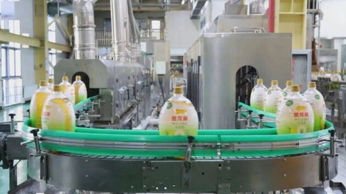 金龍魚第三代健康好油 一瓶不含反式脂肪酸的玉米油